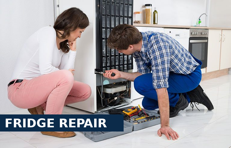 Fridge Repair Worcester Park